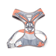 Bold Harness | Looney Tunes - Bugs Bunny