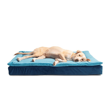 Dog Bed - Ocean