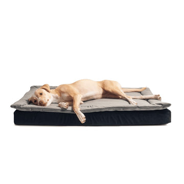 Dog Bed - Onix